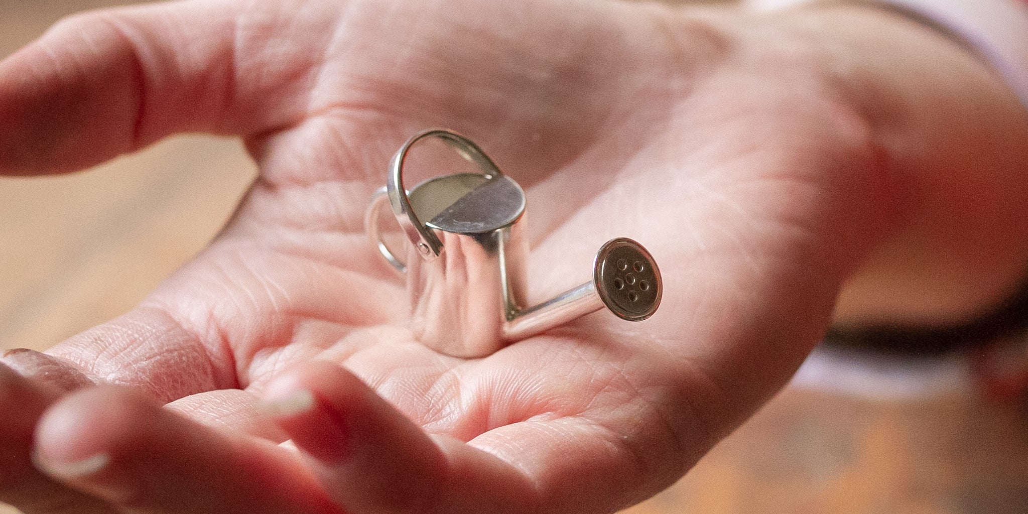 Ellen Lou Watering Can One Day Silver Workshop