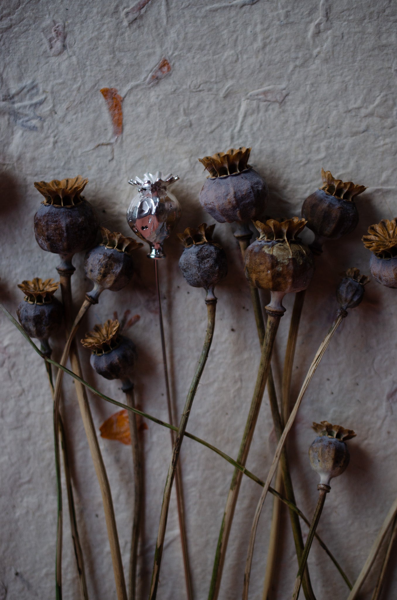 Poppy Seed Head - Autumn Wax Carving Workshop | 25th September | Ludlow