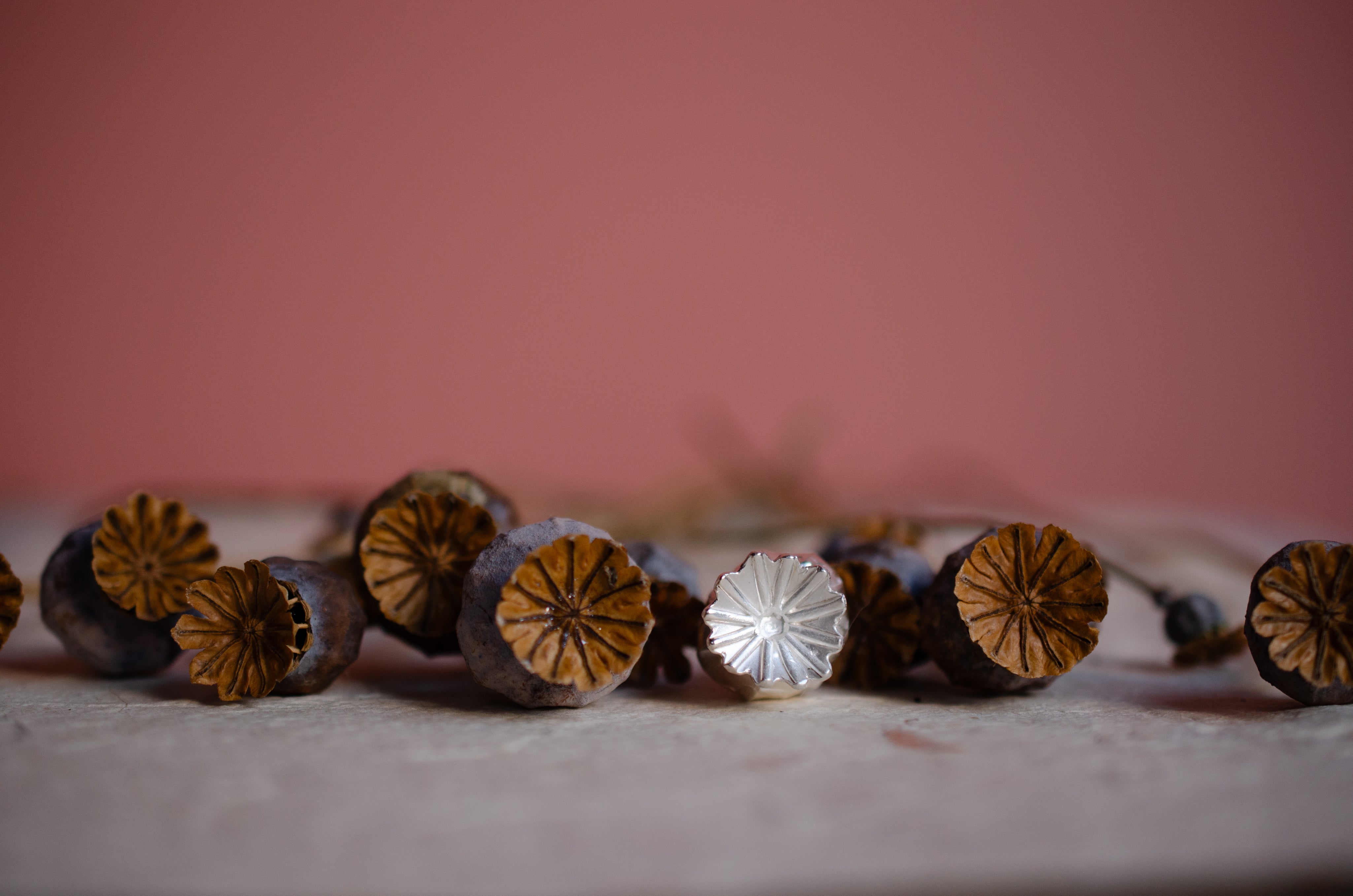 Poppy Seed Head - Autumn Wax Carving Workshop | 25th September | Ludlow