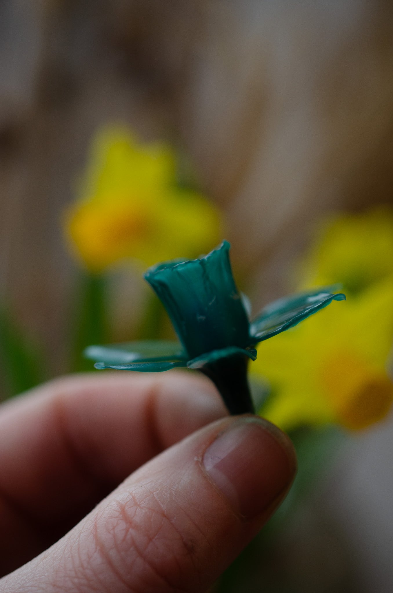 Daffodil - Spring Wax Carving Workshop | 13th March | Ludlow