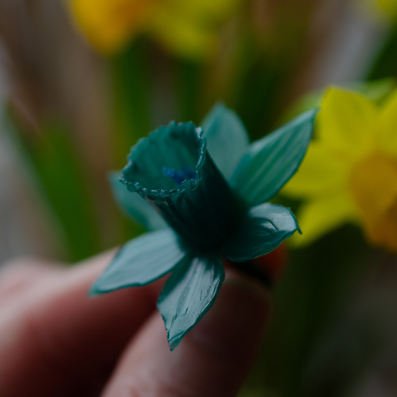 Daffodil_Mothers_Day_Wax_Carving_Workshop_Ludlow_Ellenlou.jpg