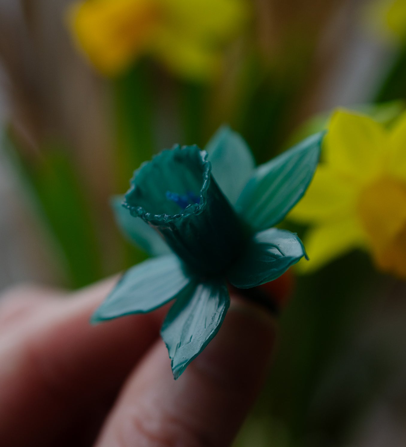 Daffodil_Mothers_Day_Wax_Carving_Workshop_Ludlow_Ellenlou.jpg