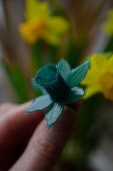 Daffodil - Spring Wax Carving Workshop | 13th March | Ludlow