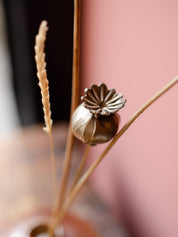 Poppy Seed Head - Autumn Wax Carving Workshop | 25th September | Ludlow