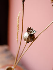 Poppy Seed Head - Autumn Wax Carving Workshop | 25th September | Ludlow
