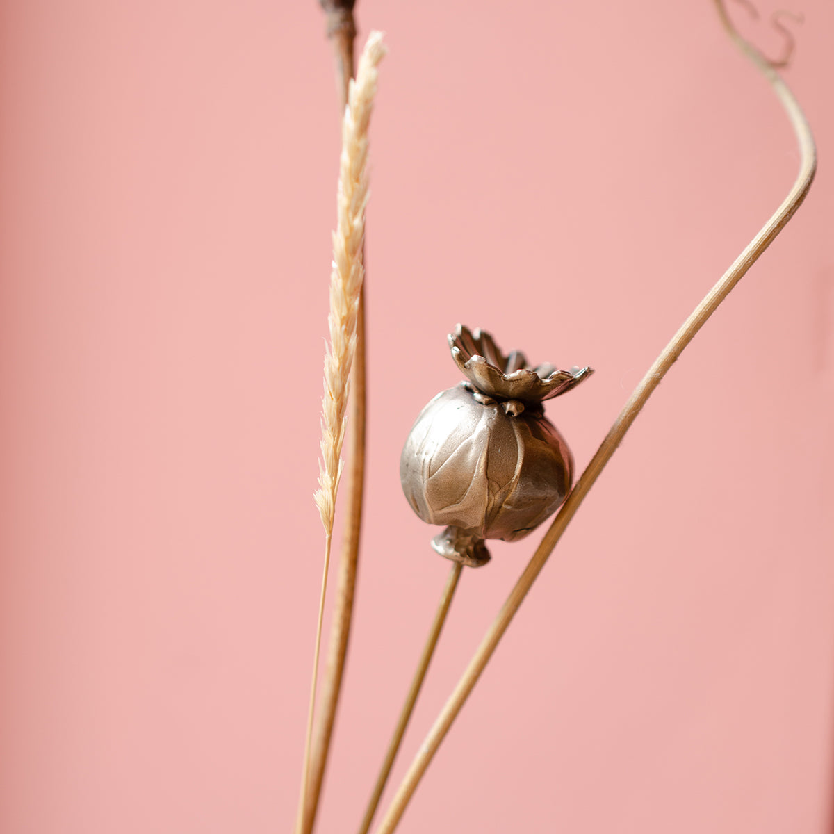 Handmade_Brass_Poppy_Seed_Head_Stem_By_Ellenlou-7.jpg