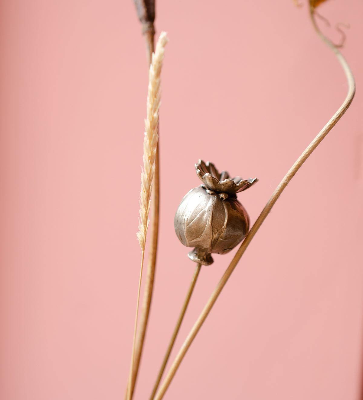 Handmade_Brass_Poppy_Seed_Head_Stem_By_Ellenlou-7.jpg