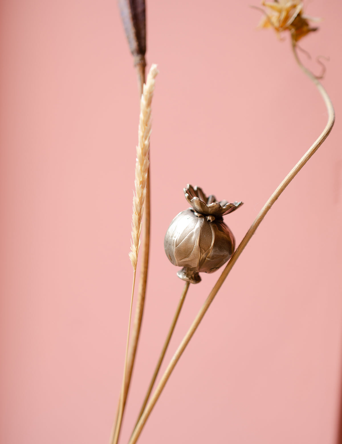 Handmade_Brass_Poppy_Seed_Head_Stem_By_Ellenlou-7.jpg