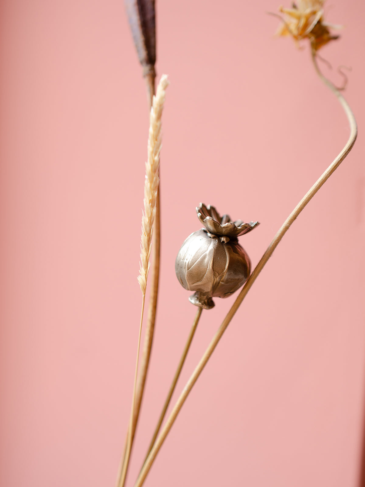 Poppy Seed Head - Autumn Wax Carving Workshop | 25th September | Ludlow