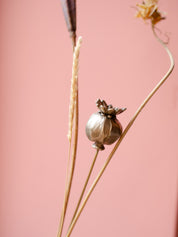 Poppy Seed Head - Autumn Wax Carving Workshop | 25th September | Ludlow