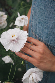 Cupcake Cosmos - Summer Wax Carving Workshop | 19th June | Ludlow
