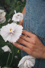 Cupcake Cosmos - Summer Wax Carving Workshop | 19th June | Ludlow