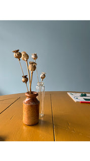 Poppy Seed Head - Autumn Wax Carving Workshop | 25th September | Ludlow