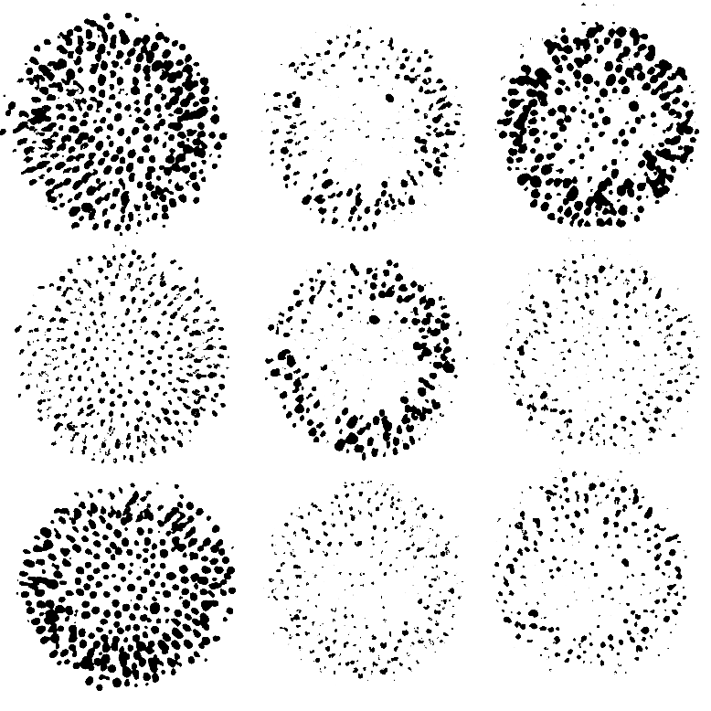 liquorice-arts-music-ludlow-graphic-13.png