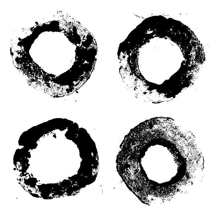 liquorice-arts-music-ludlow-graphic-14.png