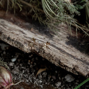 Ellen Lou Gardening Jewellery Damselfly Stud Earrings