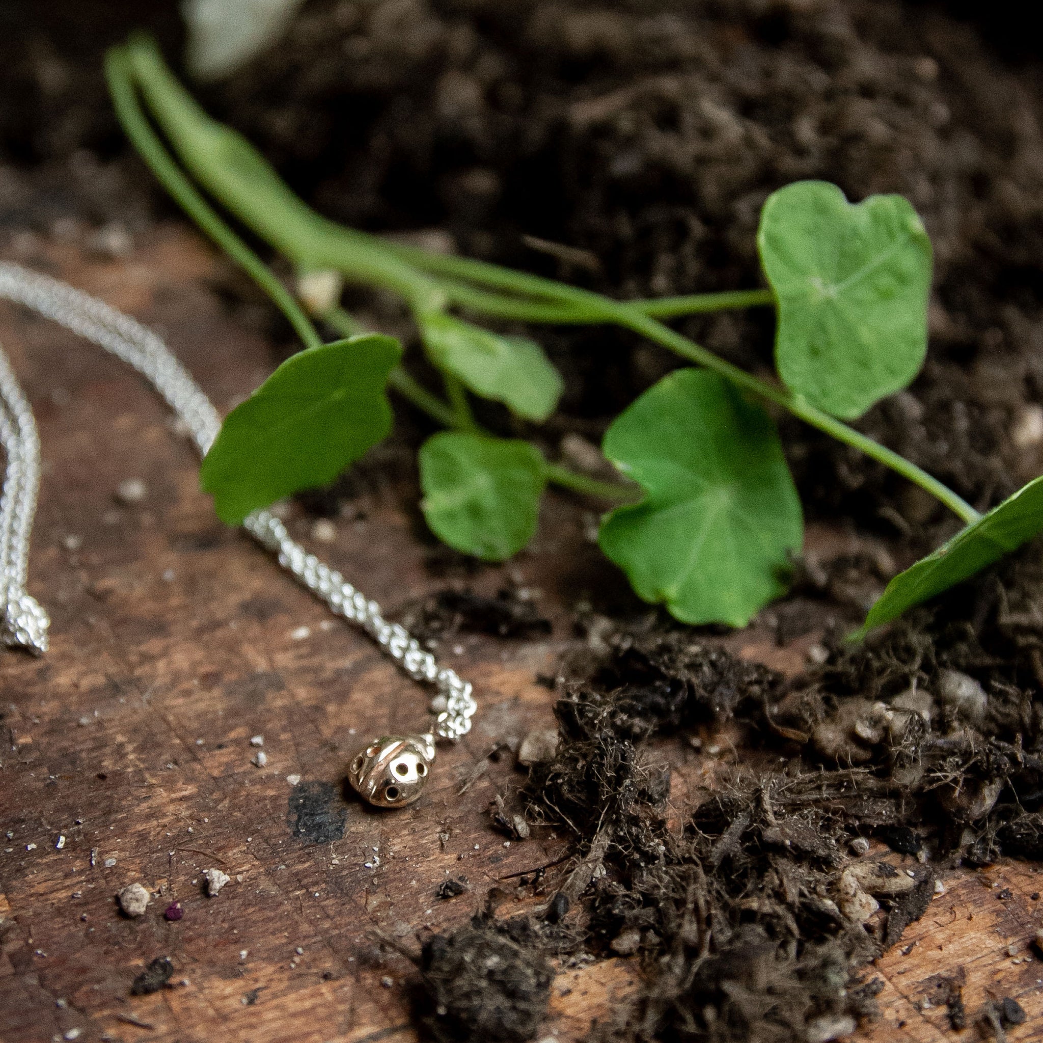 Ellen Lou Gardening Jewellery Ladybird Necklace
