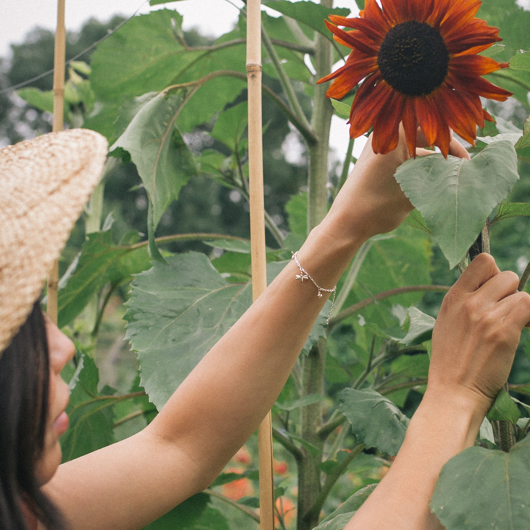 Ellen Lou Gardening Jewellery Bugs Bracelet