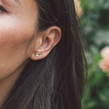 Butterfly - Stud Earrings