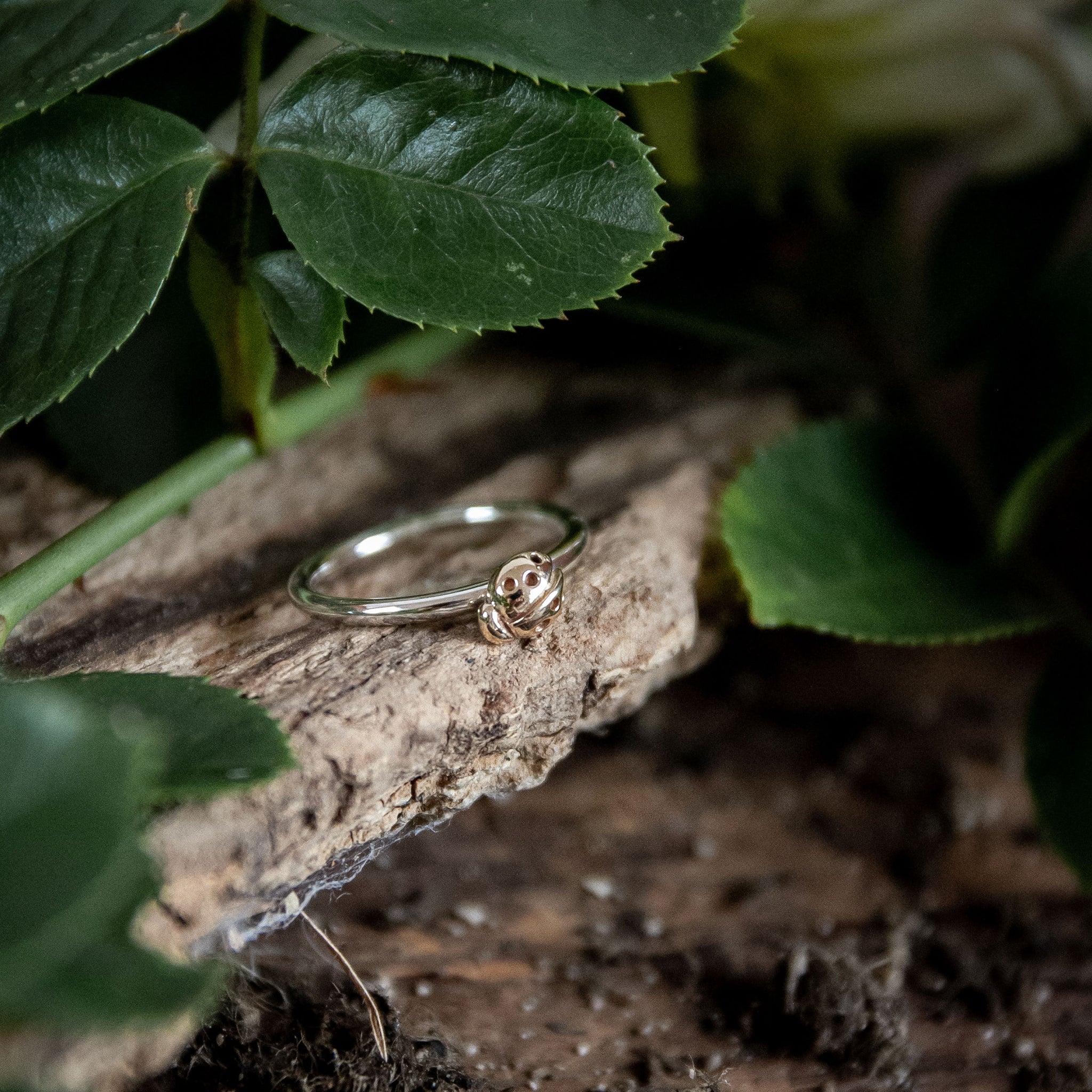 Ellen Lou Gardening Jewellery Ladybird Ring