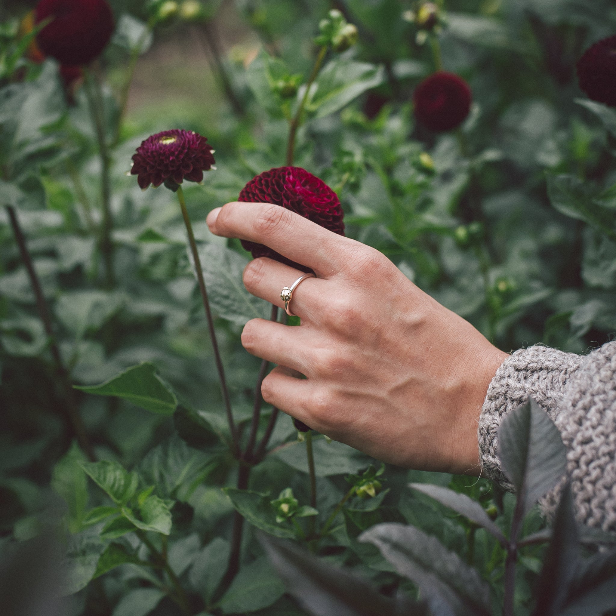 Ellen Lou Gardening Jewellery Ladybird Ring