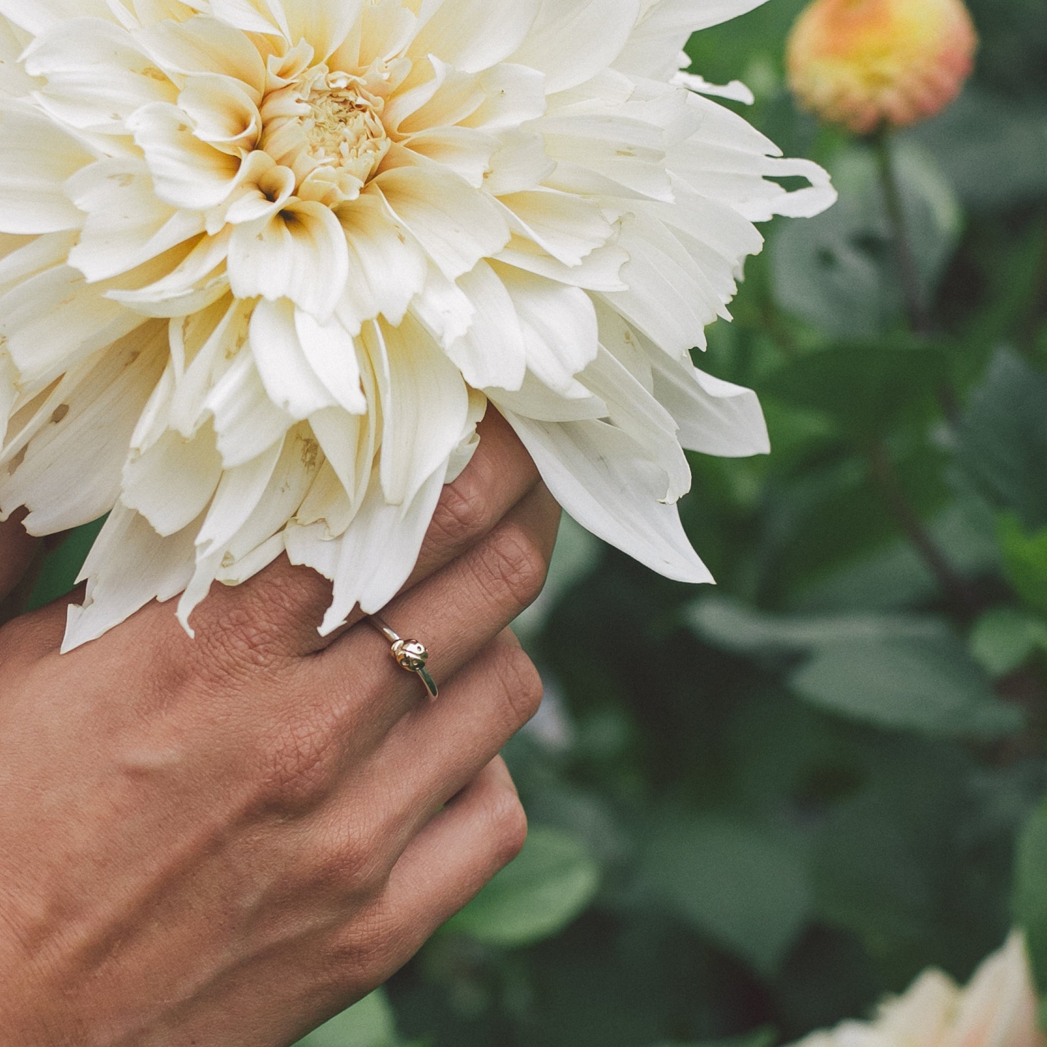 Ellen Lou Gardening Jewellery Ladybird Ring